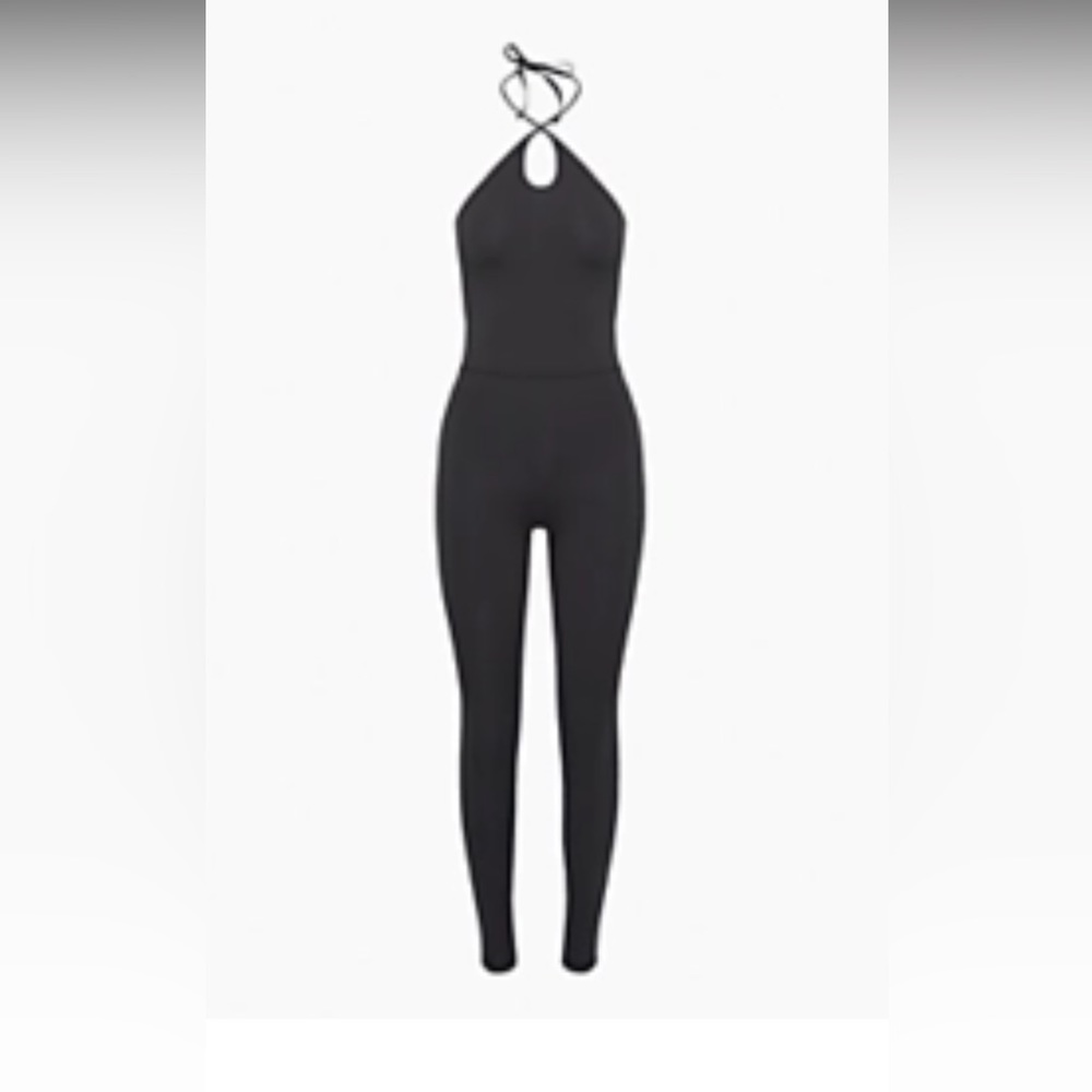 Never Worn Aritzia Wilfred Free Ivy Jumpsuit